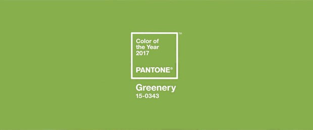 Cor de 2017 da Pantone: Greenery  (Foto: reprodução)