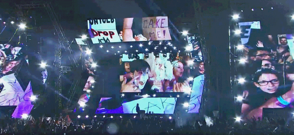 Fãs do DJ Steve Aoki vibram ao receber bolo na cara durante show no Lollapalooza 2019 neste sábado (6) — Foto: Reprodução/G1