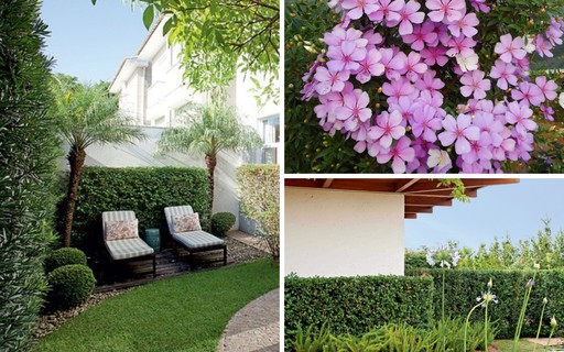 9 plantas para cerca-viva com flores que colorirão o seu jardim - Casa e  Jardim | Paisagismo