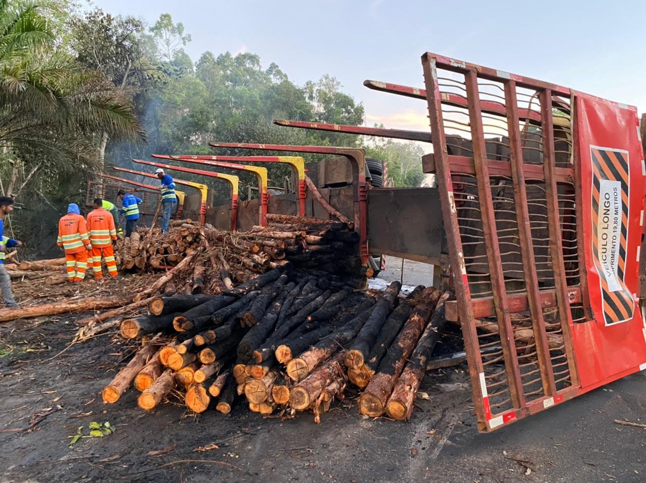 Carreta bitrem carregada de madeira sai da pista e pega fogo na BR-101, em Sooretama, ES 