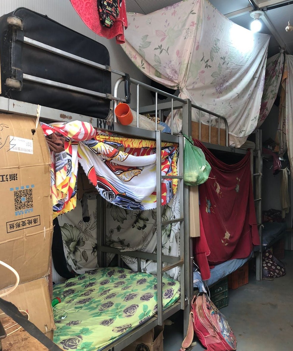Beliches montadas em contêiner para trabalhadores que atuavam em colheita de alho — Foto: MPT/Divulgação