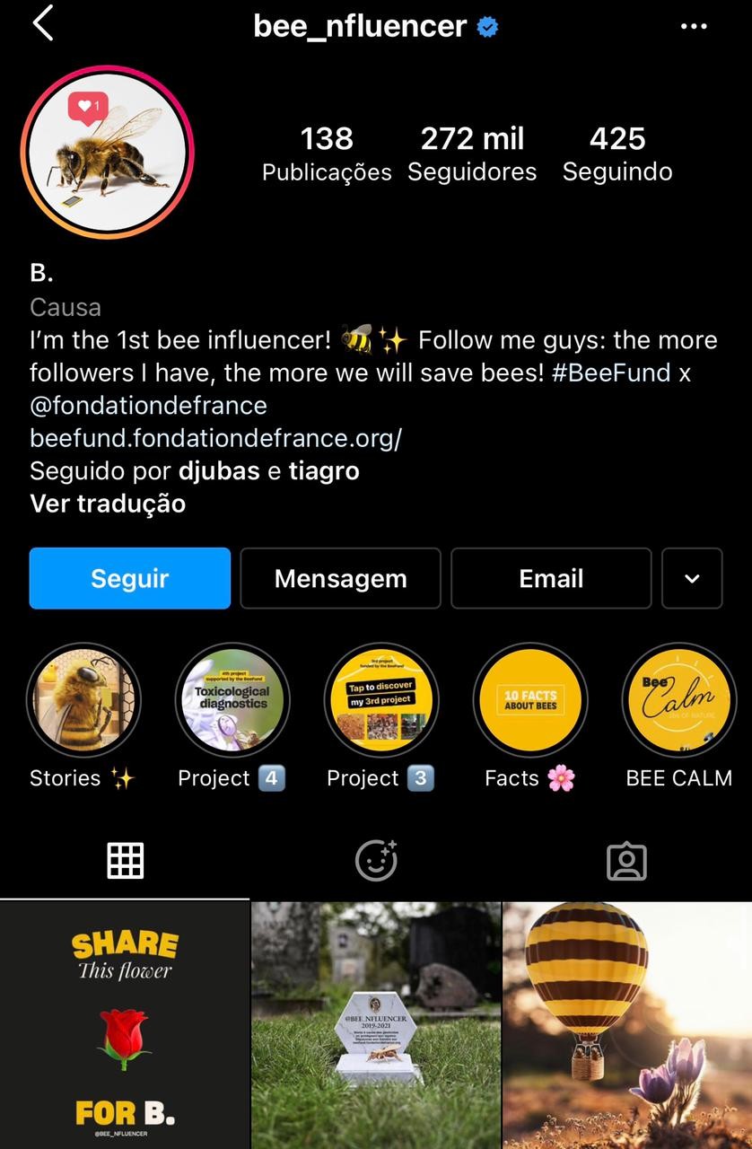 Primeira abelha inlfueciadora do mundo morre (Foto: Instagram/ Reprodução)