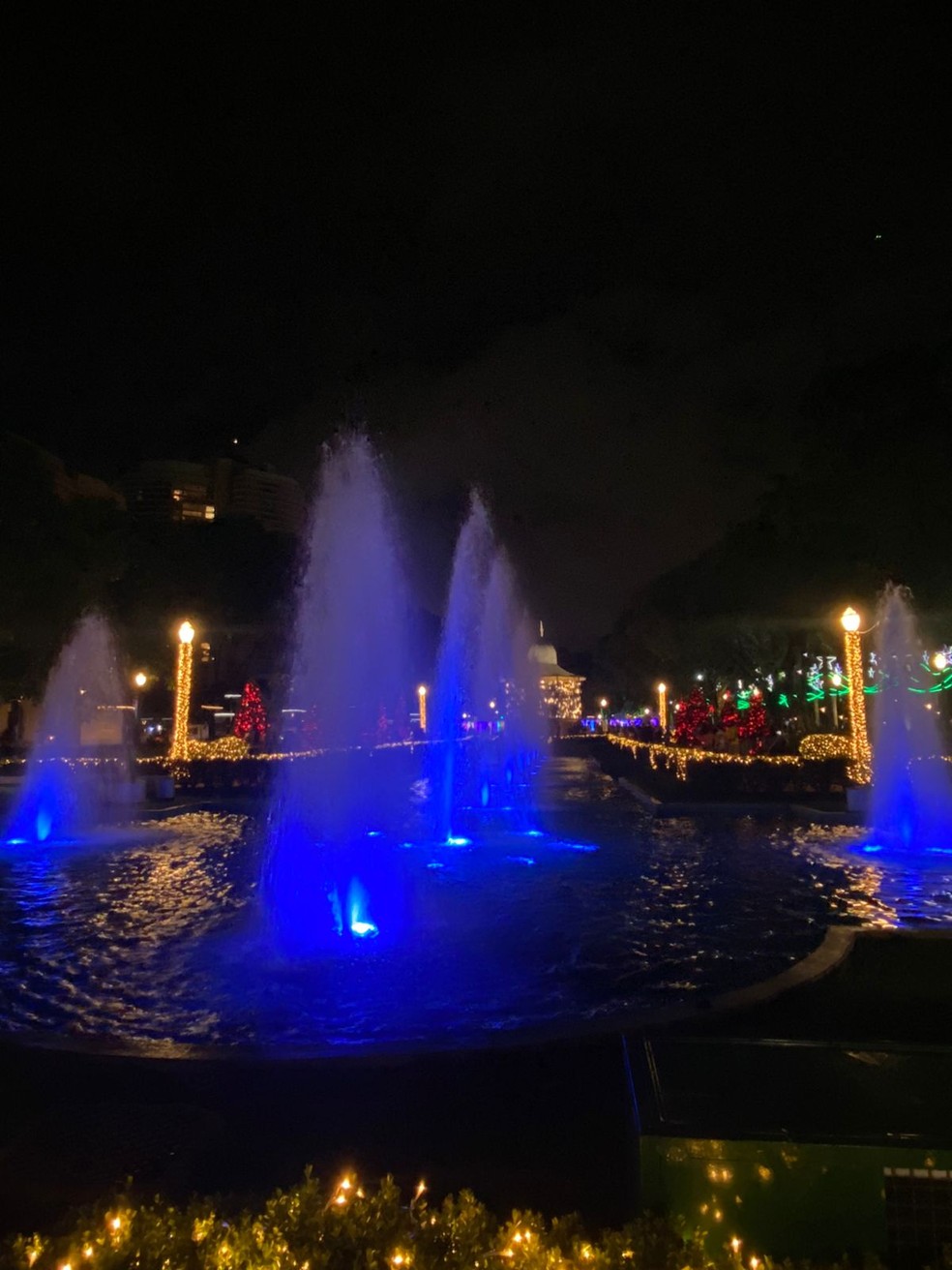 Iluminação de Natal é inaugurada na Praça da Liberdade, em Belo Horizonte;  FOTOS | Minas Gerais | G1