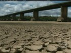 Seca afeta a vida dos agricultores de Roraima
