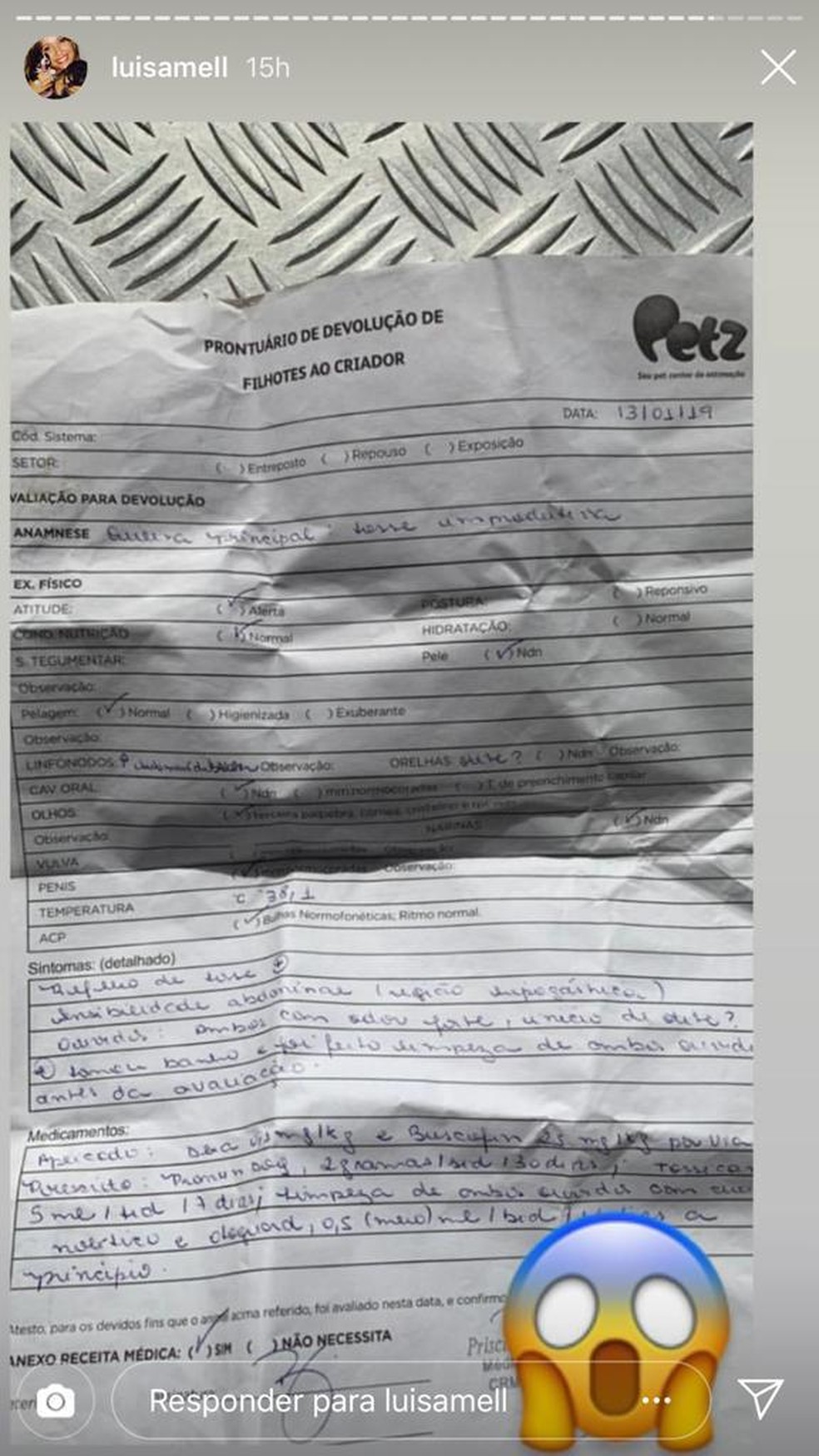 Luísa Mel divulgou documento que comprava relacionamento da Petz com o canil fechado por denúncia de maus-tratos em Piedade — Foto: Reprodução/Instagram