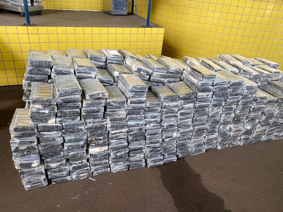 Droga foi levado ao posto da PRF de Mandaguari — Foto: Solange Riuzim/RPC