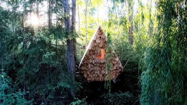 Casa na árvore tem espaço para humanos e pássaros (Foto: Divulgação)