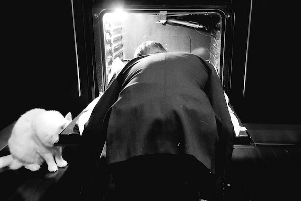 O ator Macaulay Culkin com a cabeça dentro de um forno durante enquanto ocorria o Oscar 2019 (Foto: Twitter)