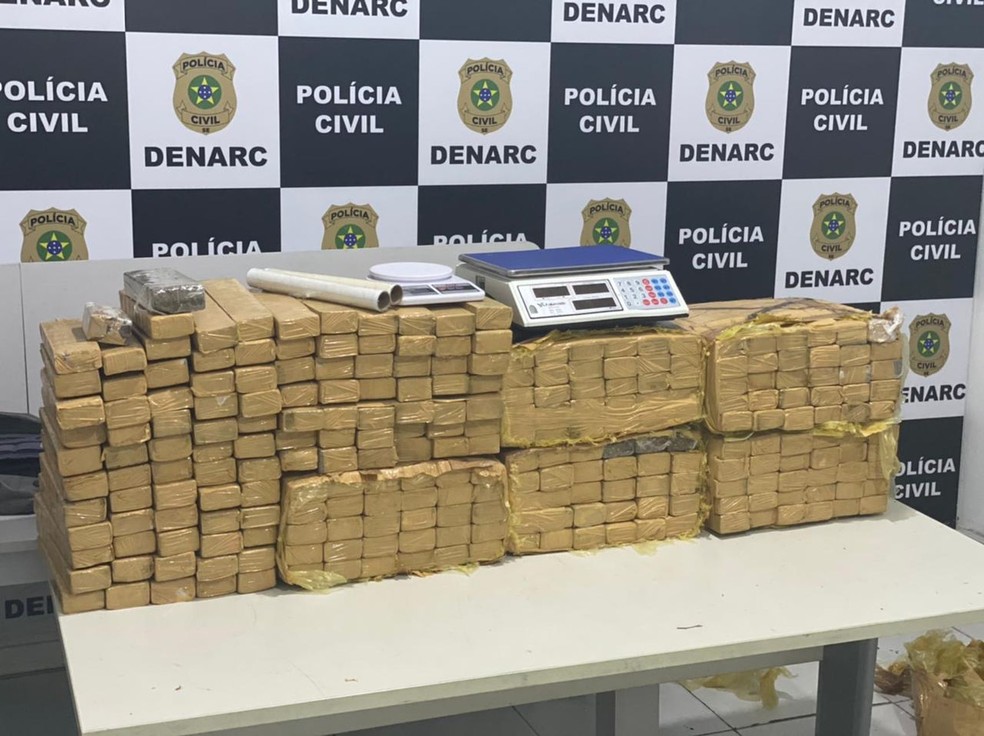 Polícia Civil apreende 200 quilos de maconha em Aracaju — Foto: Divulgação/SSP/SE
