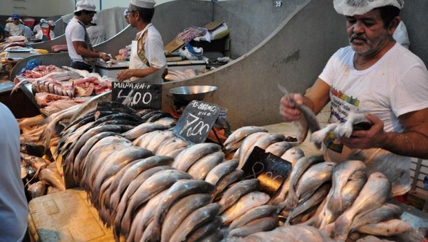 Comércio de pescado : peixe fresco registrou aumento de preço (Foto: Agência Belém/Comus)