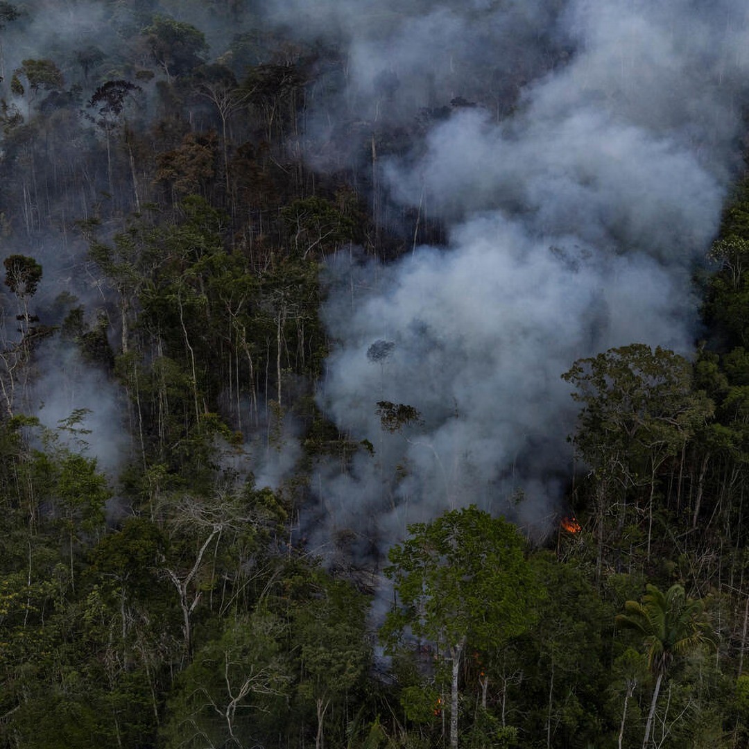 Regiões da Amazônia já atingiram ponto de não retorno, afirma pesquisadora  - Revista Galileu