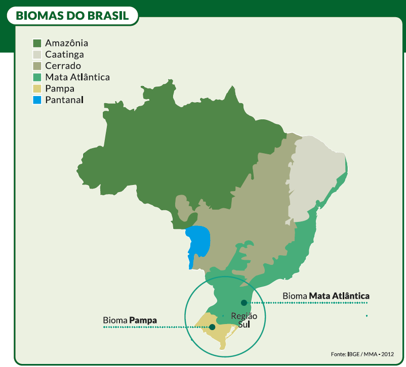 bioma-brasil-ibge (Foto: IBGE)