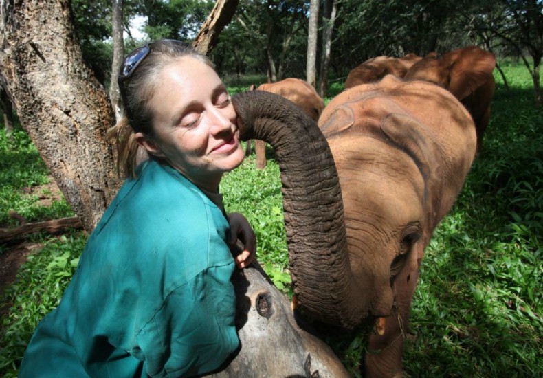 orfanato_elefantes_planeta_bicho (Foto: Divulgação / IFAW - International Fund for Animal Welfare)
