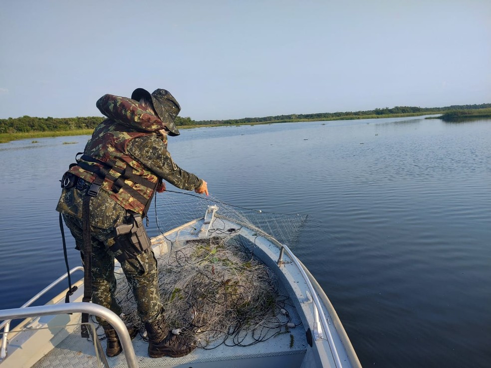 Operação apreendeu redes de pesca armadas no Rio Paraná, em Panorama — Foto: Polícia Ambiental 