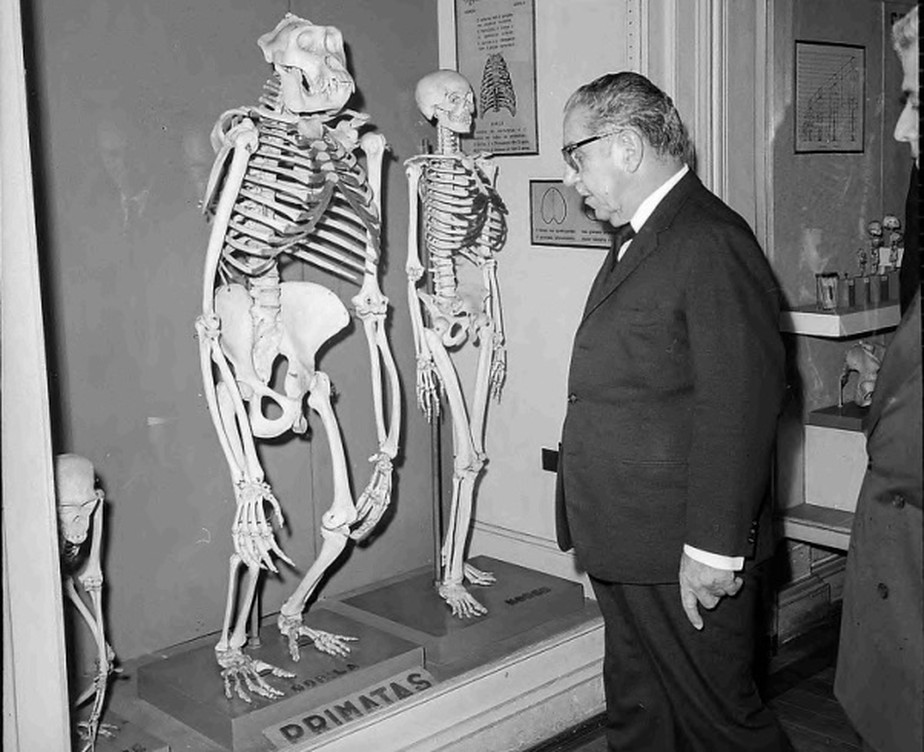 O marechal Artur da Costa e Silva observa o esqueleto de um gorila em visita ao Museu Nacional