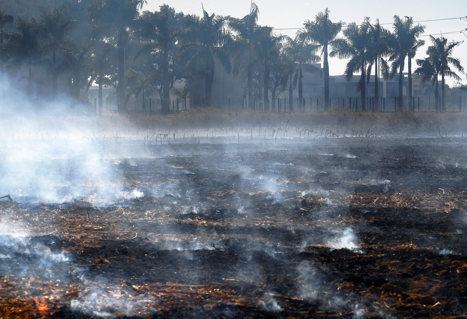 Fumaça sobe de um incêndio ilegal na reserva da floresta amazônica, ao norte de Sinop, no Mato GrossoAFP