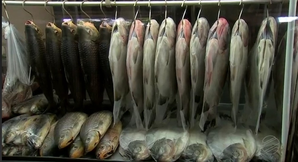 A venda de peixe deve aumentar na quaresma — Foto: TVCA/Reprodução