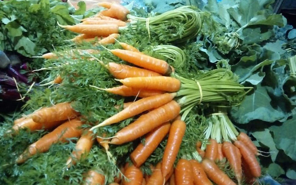 Produtos orgânicos são vendidos em feiras — Foto: Arquivo pessoal/Divulgação