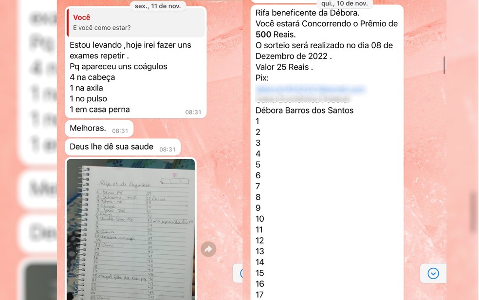 Conversas mostram Débora Barros dos Santos, de 25 anos, pedindo dinheiro a colegas, em Pirenópolis — Foto: Arquivo Pessoal/Vítima que não quis se identificar
