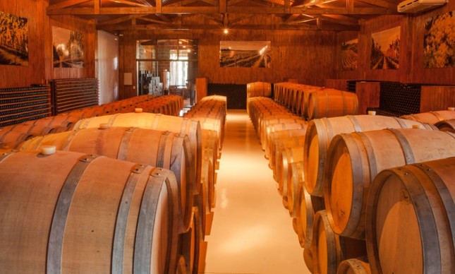 Villaggio Grando: o Cabernet Franc Reerguida  ajudará na reconstrução da vinícola