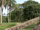 Parque fechado desde 2012 sinaliza descaso e abandono em Itapetininga