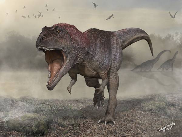 Gigante inteligente: tiranossauro rex tinha capacidade cerebral de primatas