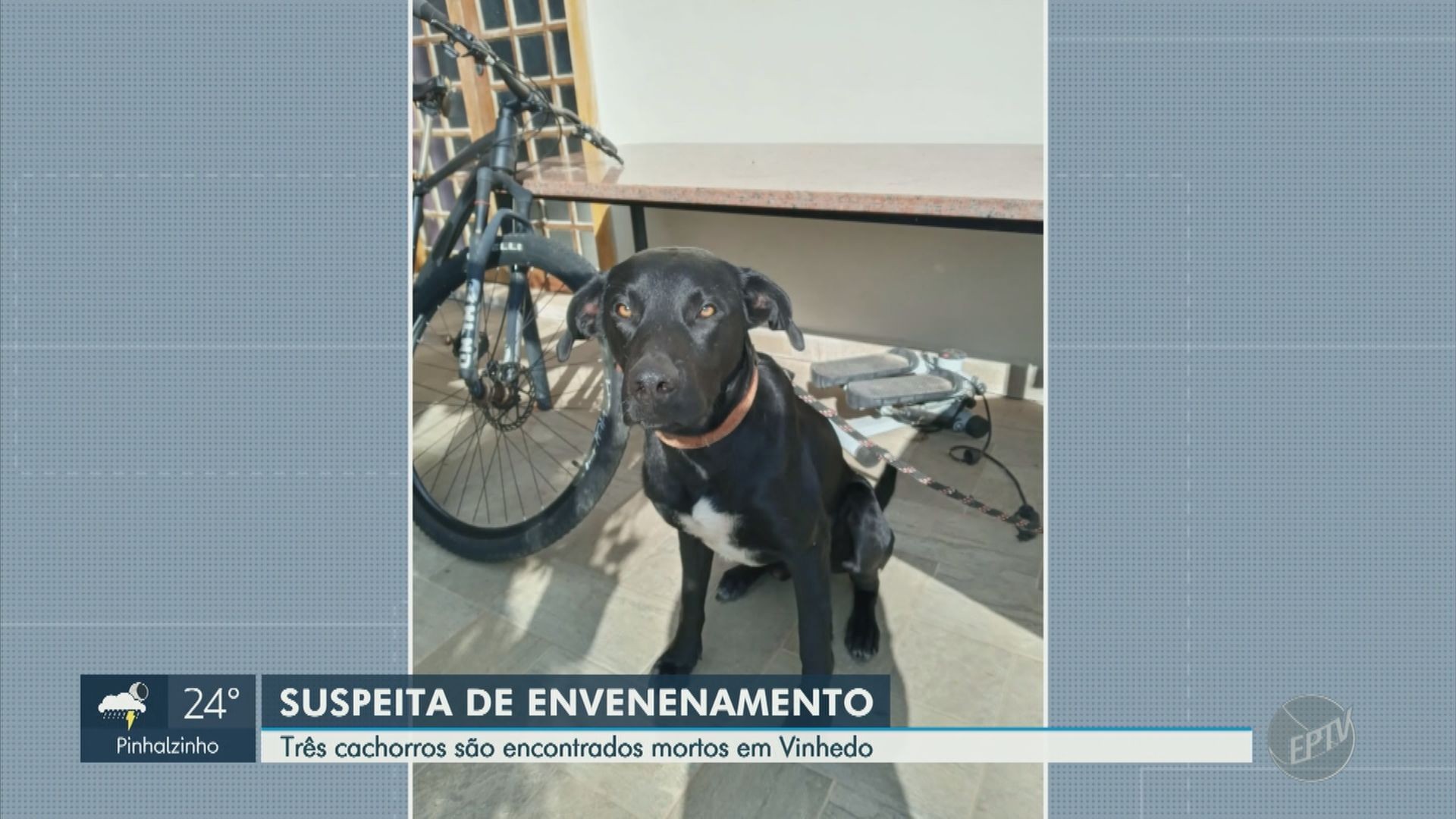 VÍDEOS: EPTV 2 Campinas deste sábado, 26 de março