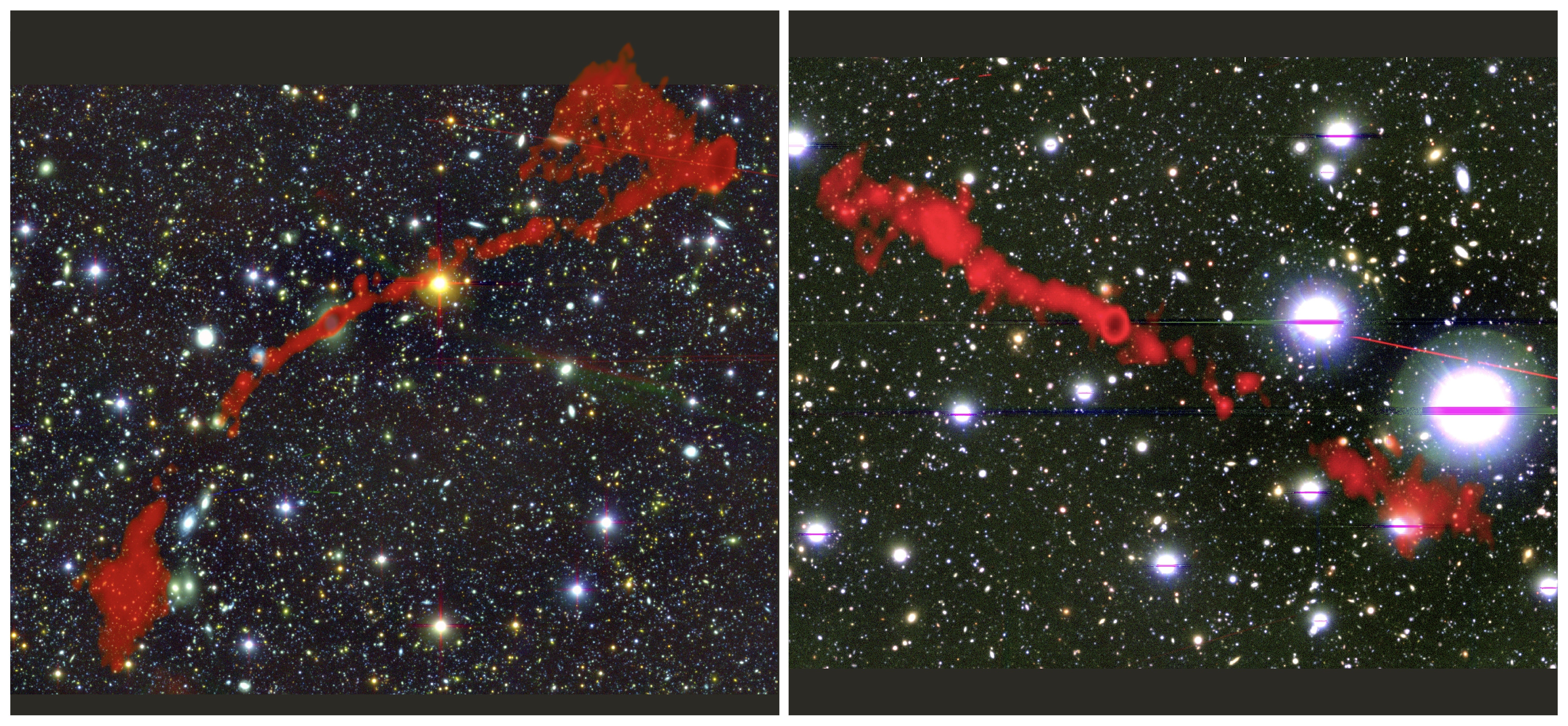 Galáxias gigantes são localizadas por telescópio na África do Sul  (Foto: Oxford / Rhodes / SARAO)