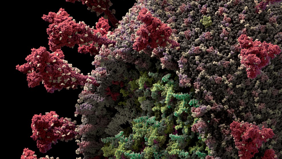 Reprodução em 3D do modelo do novo coronavírus (Sars-CoV-2) criada pela Visual Science. — Foto: Reprodução/Visual Science