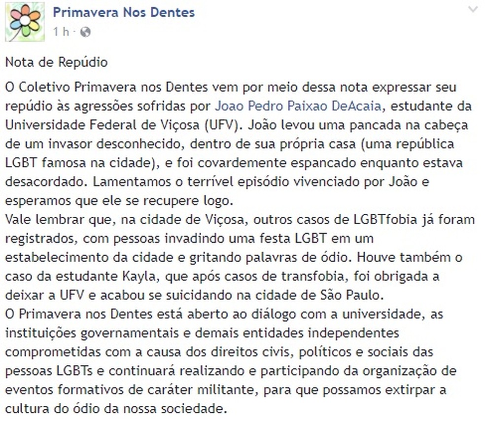 Nota do Coletivo Primavera nos Dentes sobre agressão de estudante em Viçosa (Foto: Reprodução/Facebook)