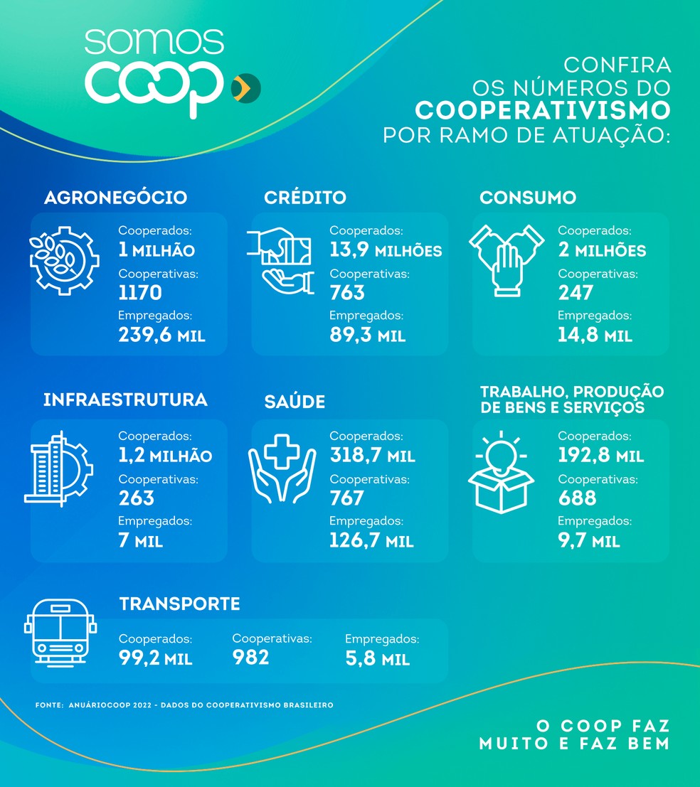 Infográfico — Foto: Divulgação