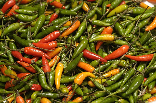 Pimenta malagueta (Foto: Wikipedia Commons)
