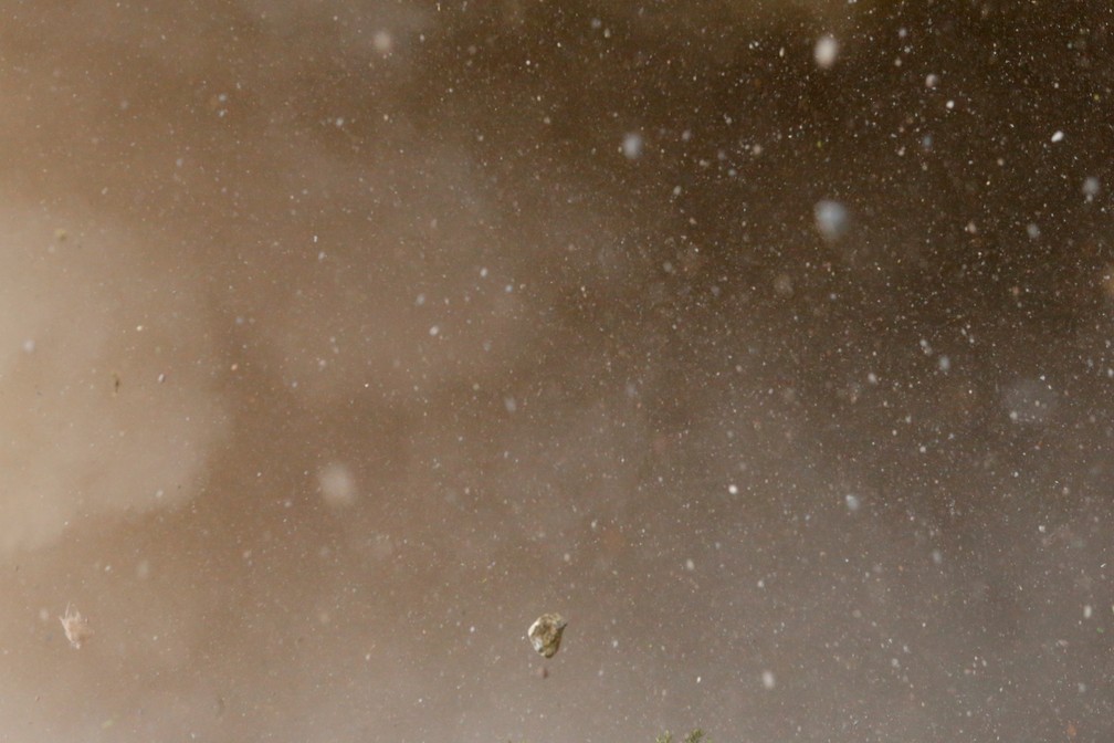 Rochas e outros detritos voam durante lançamento da Starship  — Foto: PATRICK T. FALLON / AFP