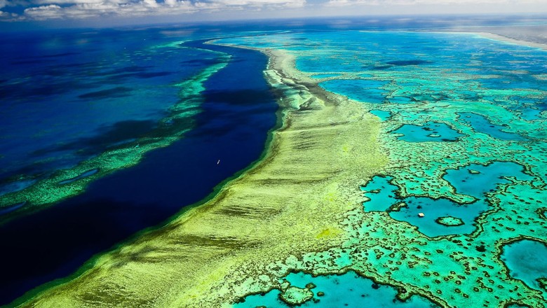 Grande recife na Austrália (Foto: Reprodução)