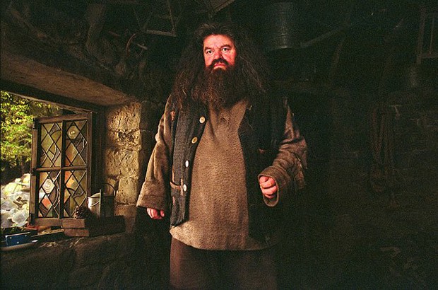 CCXP18 terá réplica da cabana de Hagrid, de “Harry Potter”   (Foto: Divulgação / Warner Bros. )