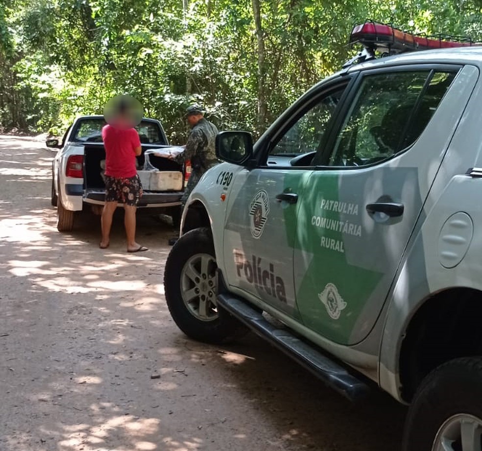 Flagrante foi em Rosana — Foto: Polícia Ambiental