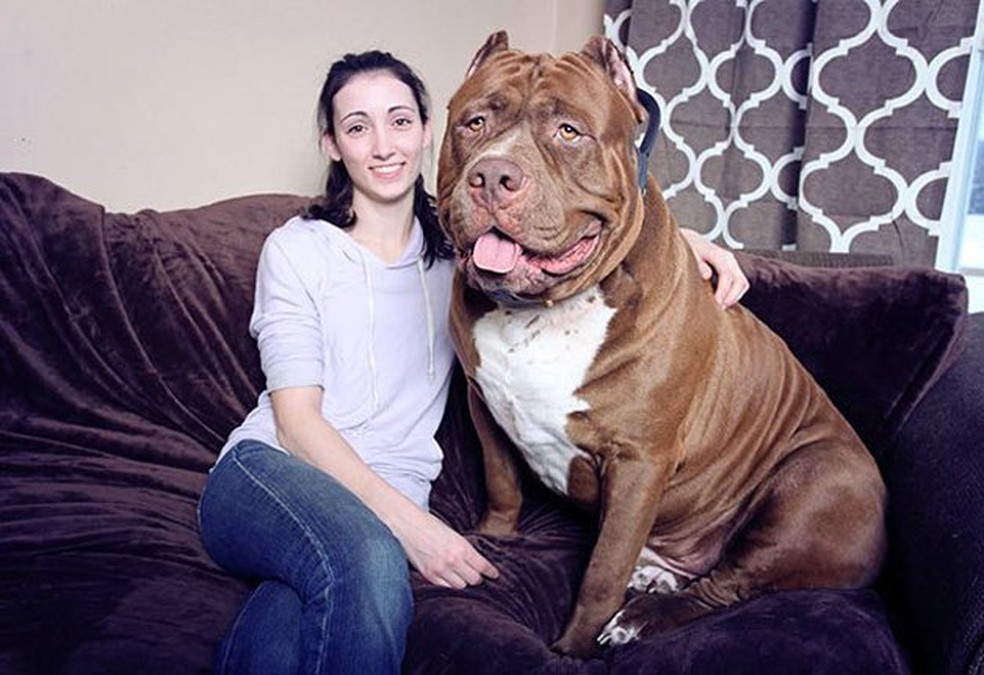 Hulk, o maior pitbull do mundo, e sua dona — Foto: Redes Sociais/Divulgação