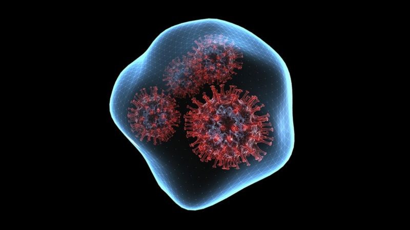 Gotículas e aerossóis que flutuam no ar podem transmitir o vírus (Foto: Getty Images via BBC News)
