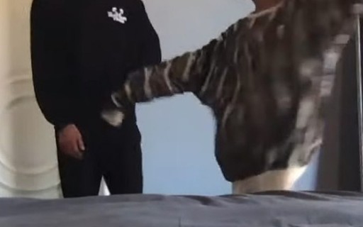 Ariana Grande confirma relacionamento com Dalton Gomez em ...