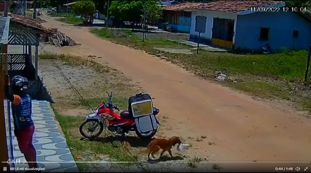 Cachorro furta pedido durante entrega e deixa motoboy confuso; veja vídeo (Foto: Reprodução/Twitter)