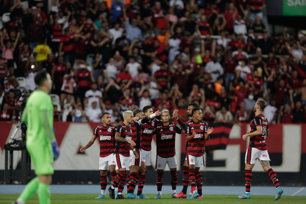 Flamengo em festa na vitória sobre o Botafogo — Foto: Gilvan de Souza/Flamengo