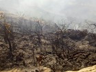 Incêndio pode afetar comunicação na região do Pico do Jabre, na Paraíba