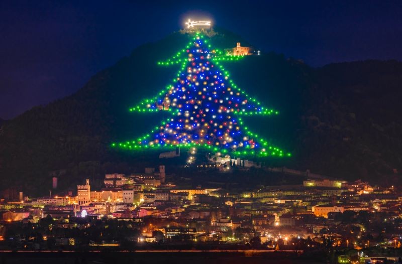 Maior árvore de Natal do mundo (Foto: Divulgação)
