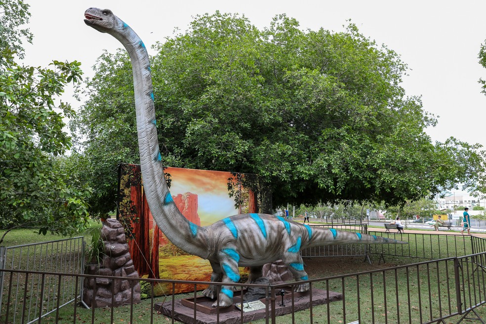 Réplica da exposição Vale dos Dinossauros, em Cuiabá — Foto: Michel Alvim/Secom-MT
