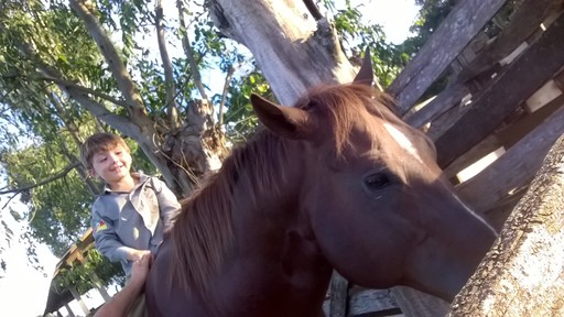Luana Strada mandou foto de seu filho cavalgando
