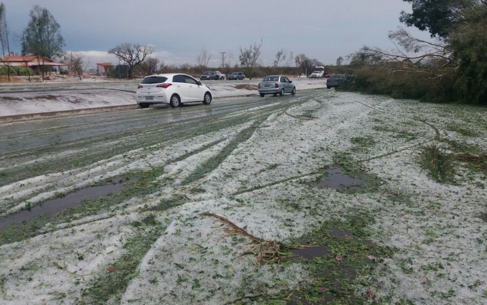 Rodovia ficou coberta por gelo de galhos de árvores que caíram (Foto: Divulgação/PRF)