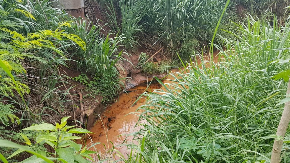 Manchas escuras se destacaram na água barrenta do córrego em Jaú  — Foto: Arquivo pessoal