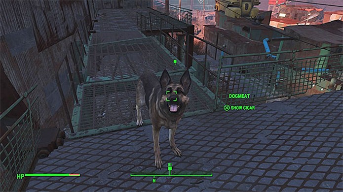 User seu fiel companheiro Dogmeat para rastrear Kelloggs através de seus charutos em Fallout 4 (Foto: Reprodução/Games Pressure)