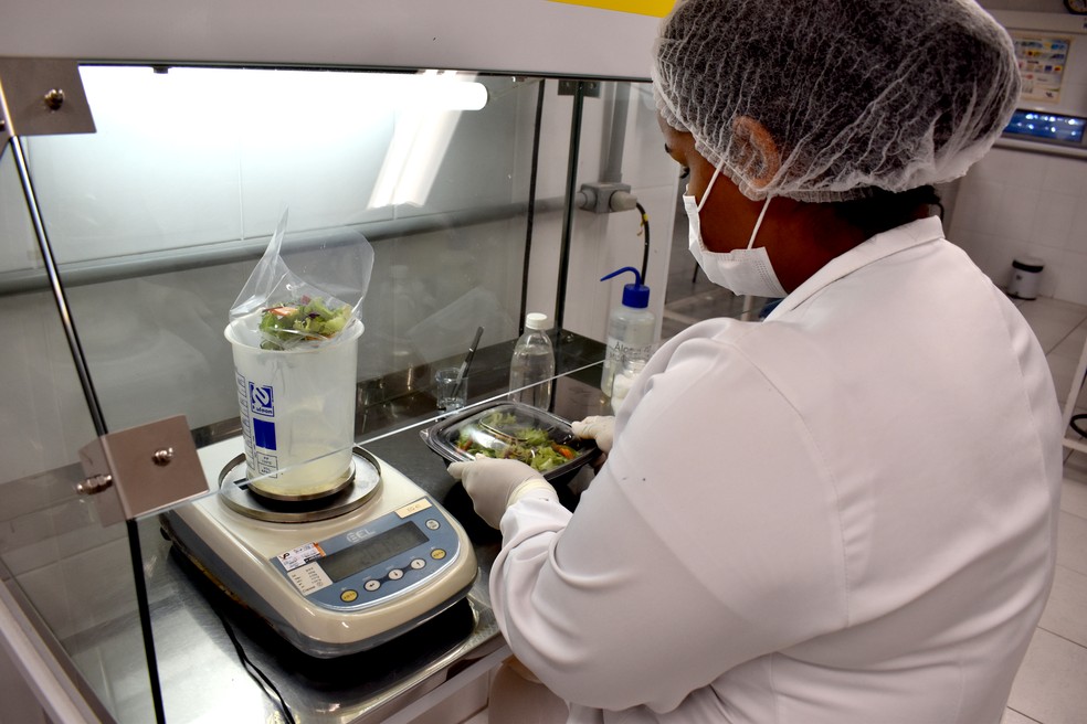 Pesquisadora Tamires Teixeira analisa amostra de salada vendida pronta para consumo durante pesquisa em Campinas (Foto: Patrícia Teixeira/G1)