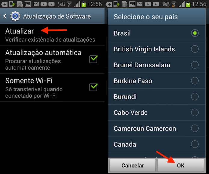 Opções para atualização do Android no Galaxy Win Duos (Foto: Reprodução/Marvin Costa)